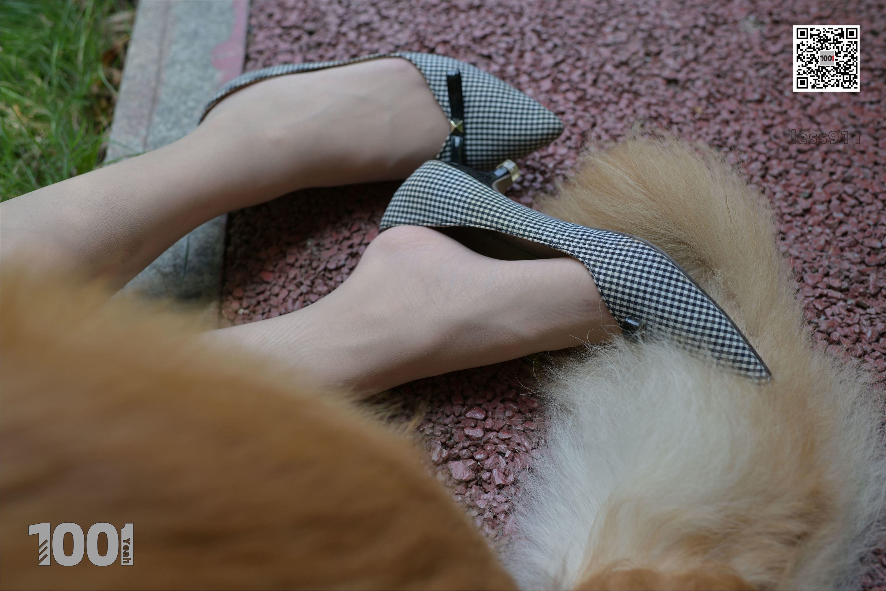 IESS异思趣向 一千零一夜 模特：真真《家有萌宠1》